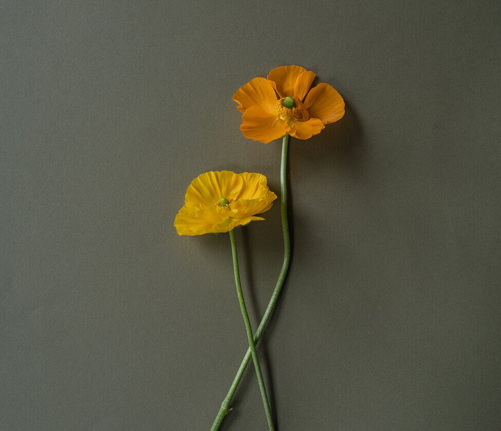 florist-07-2